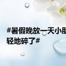 #暑假晚放一天小朋友轻轻地碎了#