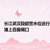 长江武汉段超警水位运行,已封堵上百座闸口