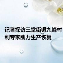 记者探访三堂街镇九峰村 农技水利专家助力生产恢复