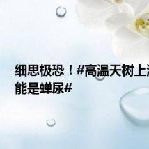 细思极恐!#高温天树上滴水可能是蝉尿#
