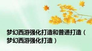 梦幻西游强化打造和普通打造（梦幻西游强化打造）