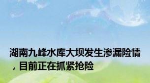 湖南九峰水库大坝发生渗漏险情，目前正在抓紧抢险
