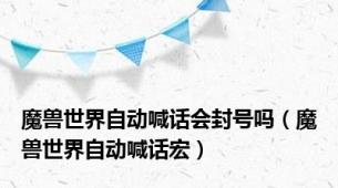 魔兽世界自动喊话会封号吗（魔兽世界自动喊话宏）