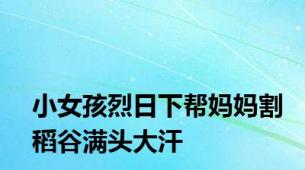 小女孩烈日下帮妈妈割稻谷满头大汗