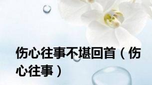 伤心往事不堪回首（伤心往事）