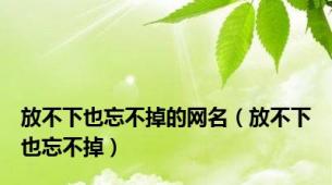 放不下也忘不掉的网名（放不下也忘不掉）