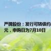 严牌股份：发行可转债约4.68亿元，申购日为7月10日