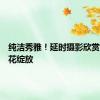 纯洁秀雅！延时摄影欣赏多种夏花绽放