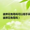 彼岸花有毒吗可以用手采摘吗（彼岸花有毒吗）