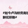 #如今卢沟桥旁高铁飞驰鲜花娇艳#