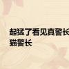 起猛了看见真警长唱黑猫警长