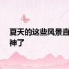 夏天的这些风景直接封神了