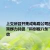 上交所召开集成电路公司座谈会 群策群力共促“科创板八条”落地见效