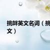 挑衅英文名词（挑衅英文）