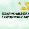 埃及6月外汇储备净额从5月的461.26亿美元增至463.84亿美元