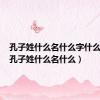孔子姓什么名什么字什么意思（孔子姓什么名什么）