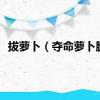 拔萝卜（夺命萝卜腿）