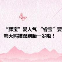“辉宝”爱人气 “睿宝”要健康 旅韩大熊猫双胞胎一岁啦!