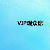 VIP观众席