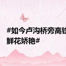 #如今卢沟桥旁高铁飞驰鲜花娇艳#