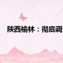 陕西榆林：彻底调查