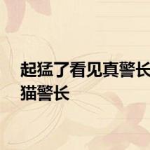起猛了看见真警长唱黑猫警长