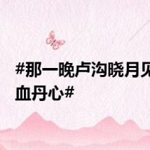 #那一晚卢沟晓月见证碧血丹心#