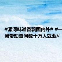 #漯河味道香飘国内外# #一碗胡辣汤带动漯河数十万人就业#