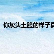 你灰头土脸的样子真帅