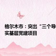 格尔木市：突出“三个导向”抓实基层党建项目
