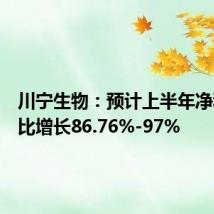川宁生物:预计上半年净利润同比增长86.76%-97%