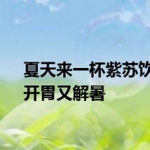 夏天来一杯紫苏饮子，开胃又解暑