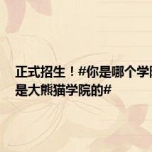 正式招生!#你是哪个学院的我是大熊猫学院的#