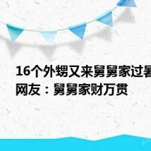 16个外甥又来舅舅家过暑假了 网友:舅舅家财万贯