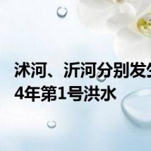 沭河、沂河分别发生2024年第1号洪水
