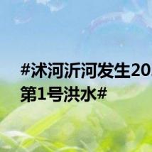 #沭河沂河发生2024年第1号洪水#