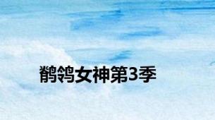 鹡鸰女神第3季