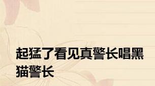 起猛了看见真警长唱黑猫警长