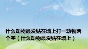 什么动物最爱贴在墙上打一动物两个字（什么动物最爱贴在墙上）