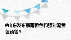 #山东发布暴雨橙色和强对流黄色预警#