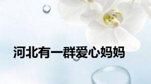 河北有一群爱心妈妈