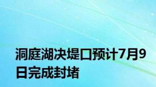 洞庭湖决堤口预计7月9日完成封堵