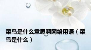 菜鸟是什么意思啊网络用语（菜鸟是什么）