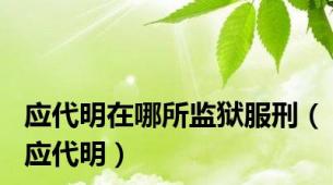 应代明在哪所监狱服刑（应代明）