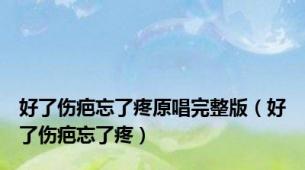 好了伤疤忘了疼原唱完整版（好了伤疤忘了疼）