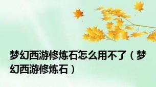 梦幻西游修炼石怎么用不了（梦幻西游修炼石）