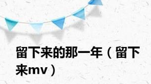 留下来的那一年（留下来mv）