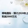 郴电国际：预计2024年上半年净利润2000万元