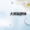 大熊猫撩妹