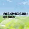 cf会员成长值怎么查询（cf会员成长值查询）